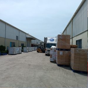 Loading cargo export from Noi Bai