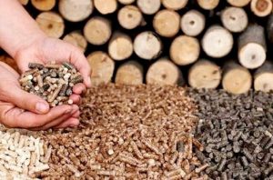 Bright future for wood pellet exports: experts