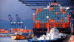 Năm 2021 lượng trái cây nhập khẩu qua cảng Diêm Điền (Yantian)-Trung Quốc tăng gần 30%