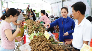 Xuất khẩu trái cây Việt: Tìm cách ‘mở cửa’ các thị trường giá trị cao